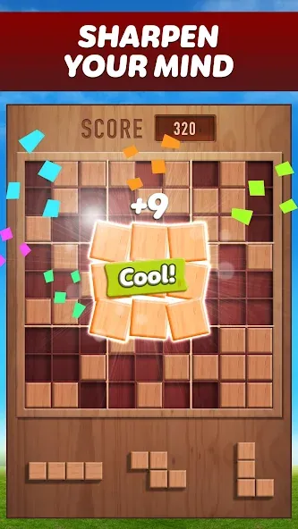 Скачать взлом Woody 99 — Sudoku Block Puzzle (Вуди 99)  [МОД Бесконечные деньги] — стабильная версия apk на Андроид screen 1
