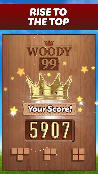 Скачать взлом Woody 99 — Sudoku Block Puzzle (Вуди 99)  [МОД Бесконечные деньги] — стабильная версия apk на Андроид screen 5