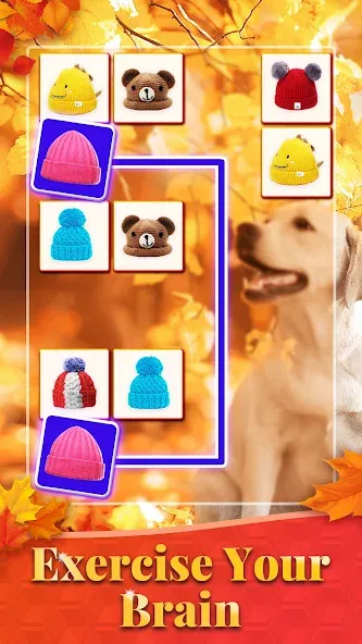 Скачать взлом Onet 3D — Tile Matching Game (Онет 3Д)  [МОД Меню] — последняя версия apk на Андроид screen 3
