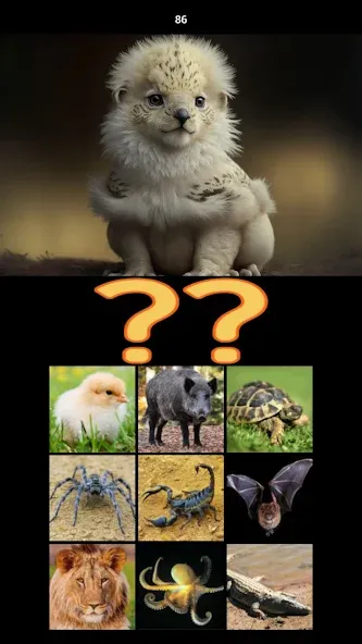 Взломанная Hybrid Animals Crazy Lab Quiz (Хибридные животные Сумасшедшая лаборатория Викторина)  [МОД Все открыто] — стабильная версия apk на Андроид screen 5