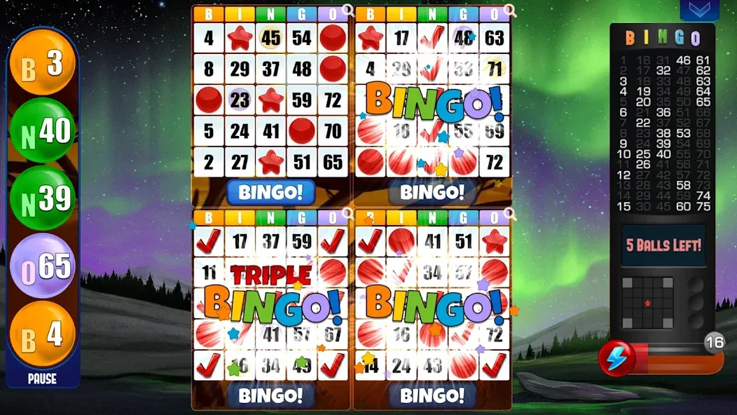 Взломанная Absolute Bingo  [МОД Бесконечные деньги] — полная версия apk на Андроид screen 2