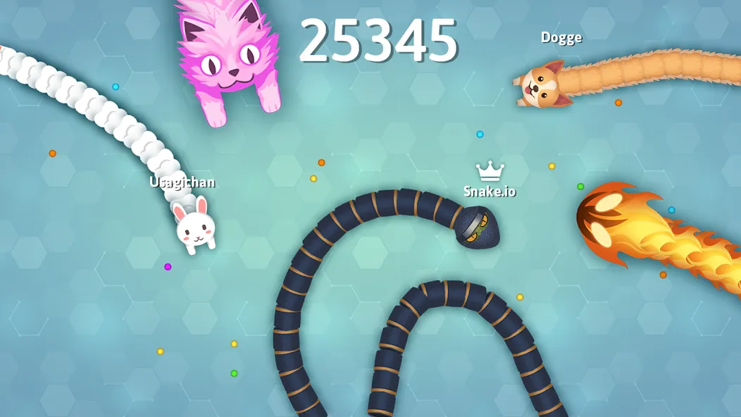 Скачать взлом Snake.io — Fun Snake .io Games  [МОД Много монет] — полная версия apk на Андроид screen 1