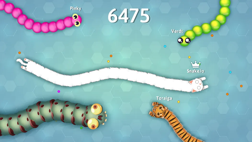 Скачать взлом Snake.io — Fun Snake .io Games  [МОД Много монет] — полная версия apk на Андроид screen 5