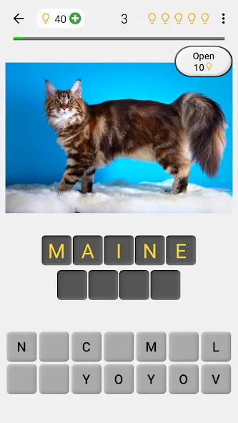 Скачать взлом Cats Quiz Guess Popular Breeds  [МОД Menu] — полная версия apk на Андроид screen 1