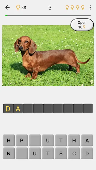 Скачать взлом Dogs Quiz — Guess All Breeds!  [МОД Меню] — стабильная версия apk на Андроид screen 2