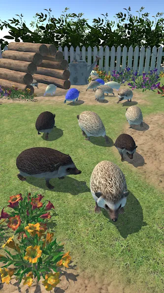 Взлом Hedgehog Friends (Хеджхог Френдс)  [МОД Много денег] — полная версия apk на Андроид screen 3