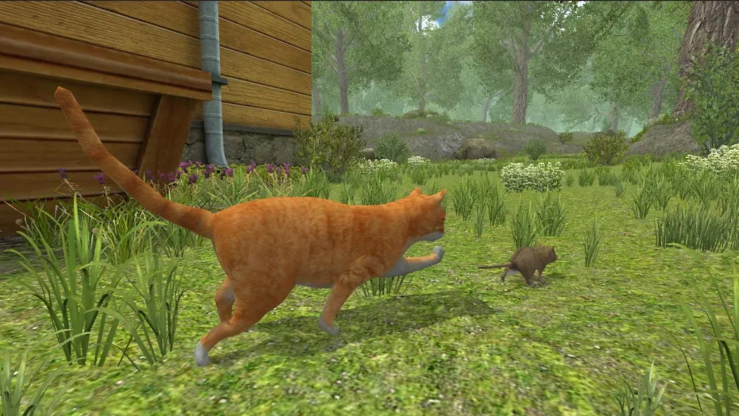 Скачать взломанную Mouse Simulator :  Forest Home  [МОД Menu] — стабильная версия apk на Андроид screen 3