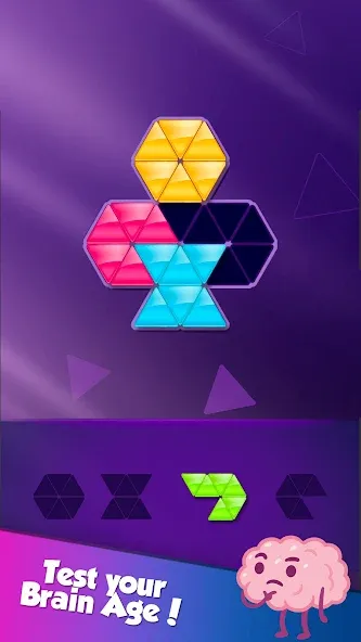 Взломанная Block! Triangle Puzzle:Tangram  [МОД Бесконечные деньги] — последняя версия apk на Андроид screen 5