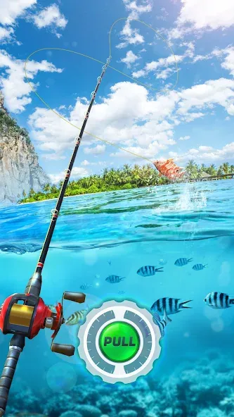 Взлом Fishing Rival 3D (Фишинг Ривал 3Д)  [МОД Mega Pack] — последняя версия apk на Андроид screen 1