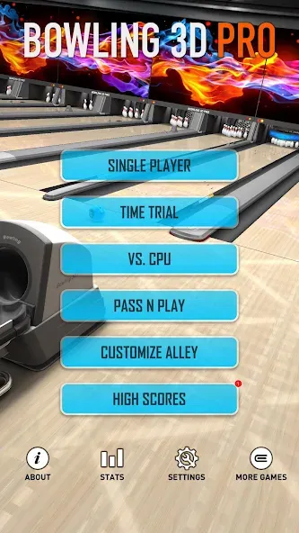 Взломанная Bowling 3D Pro (Боулинг 3D Про)  [МОД Mega Pack] — полная версия apk на Андроид screen 4