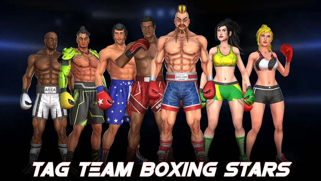 Скачать взломанную Boxing Heros: Fighting Games (Тэг Боксинг Игры)  [МОД Меню] — последняя версия apk на Андроид screen 5