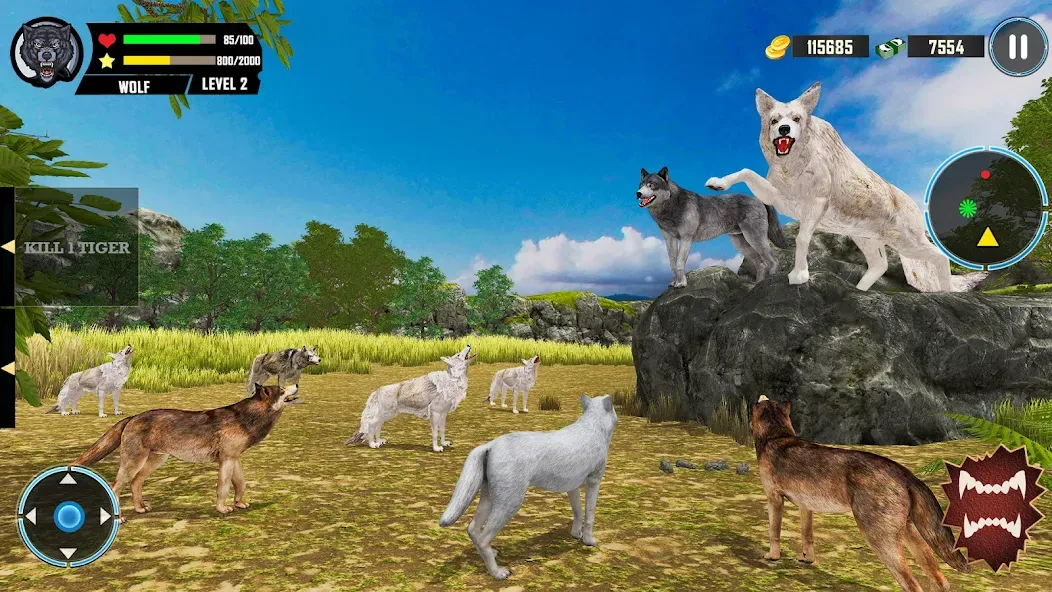 Взлом Wild Wolf Simulator Games  [МОД Menu] — стабильная версия apk на Андроид screen 5