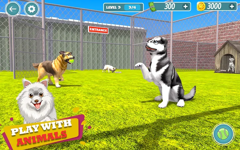 Взлом My Pet Animal Shelter World  [МОД Mega Pack] — последняя версия apk на Андроид screen 5