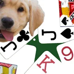 K9 Euchre