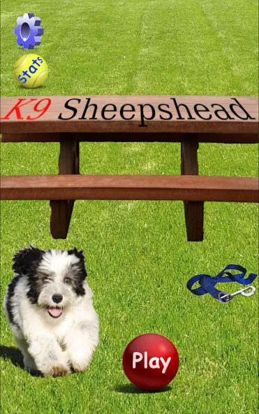 Взломанная K9 Sheepshead (Schafkopf) (Шипсхед)  [МОД Много монет] — последняя версия apk на Андроид screen 1