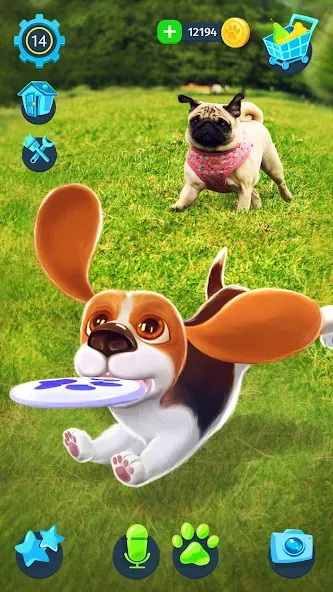 Скачать взломанную Tamadog — Puppy Pet Dog Games (Тамадог)  [МОД Много денег] — стабильная версия apk на Андроид screen 3