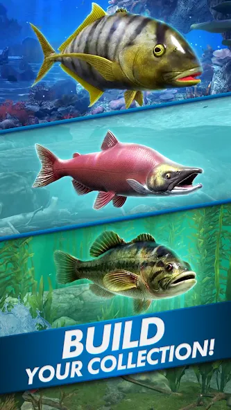 Взломанная Ultimate Fishing! Fish Game  [МОД Unlimited Money] — полная версия apk на Андроид screen 5