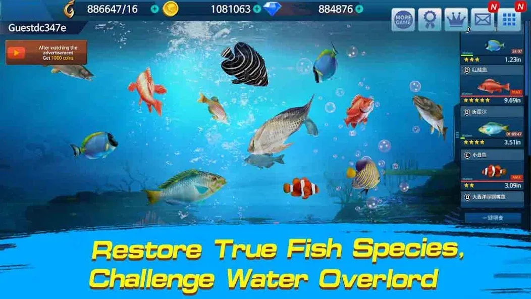 Скачать взломанную Fishing Championship  [МОД Все открыто] — стабильная версия apk на Андроид screen 2