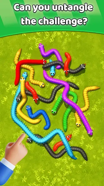 Взломанная Tangled Snakes Puzzle Game (Танглед Снейк 3Д)  [МОД Mega Pack] — последняя версия apk на Андроид screen 5