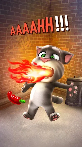 Взломанная Talking Tom Cat  [МОД Бесконечные монеты] — полная версия apk на Андроид screen 4