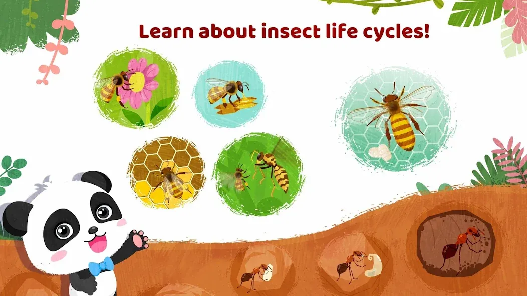 Взломанная Little Panda's Insect World  [МОД Бесконечные монеты] — последняя версия apk на Андроид screen 4