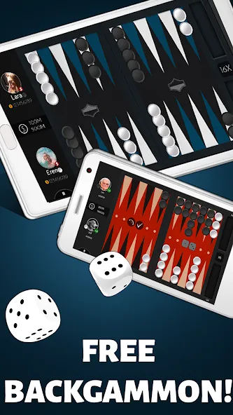 Взлом Backgammon Offline  [МОД Mega Pack] — стабильная версия apk на Андроид screen 2