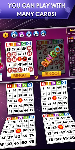 Скачать взломанную Bingo — Offline Bingo Game  [МОД Unlocked] — полная версия apk на Андроид screen 1