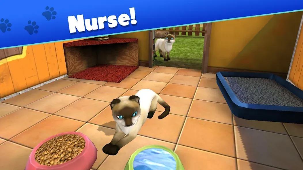 Скачать взломанную Pet World — My Animal Shelter (Пет Ворлд)  [МОД Menu] — последняя версия apk на Андроид screen 3