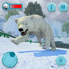 Polar Bear Family Survival