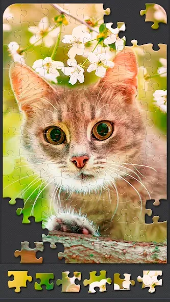 Взлом Jigsaw Puzzles for Adults  [МОД Mega Pack] — полная версия apk на Андроид screen 5