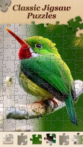 Взломанная Jigsawscapes® — Jigsaw Puzzles (Джигсоускейпс)  [МОД Много монет] — полная версия apk на Андроид screen 2