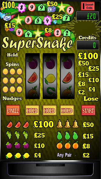 Скачать взлом Super Snake Slot Machine  [МОД Все открыто] — полная версия apk на Андроид screen 1