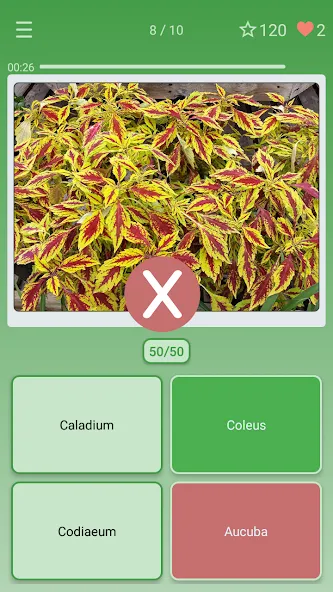 Взлом Quiz: Flowers, Plants  [МОД Много денег] — полная версия apk на Андроид screen 3